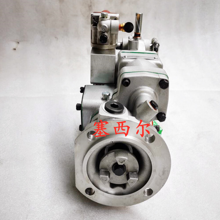 기술설계 기계적인 엔진 연료 펌프 200KW 발전기 그룹 디젤 엔진 495135353를 위해