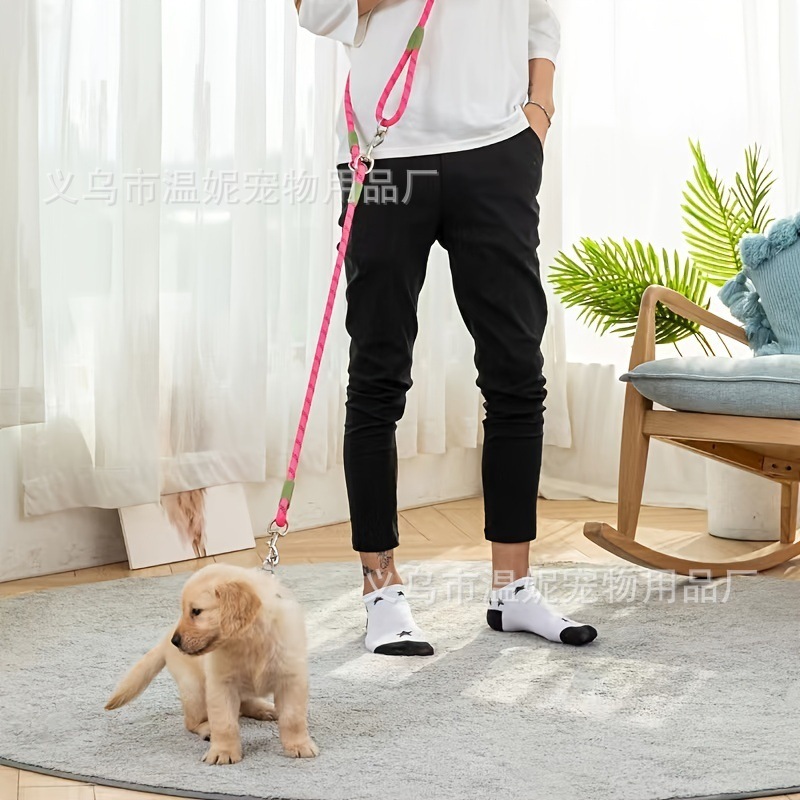 Con chó nghiêng qua sợi dây thừng để thả tay nó khỏi vật nuôi của con chó.