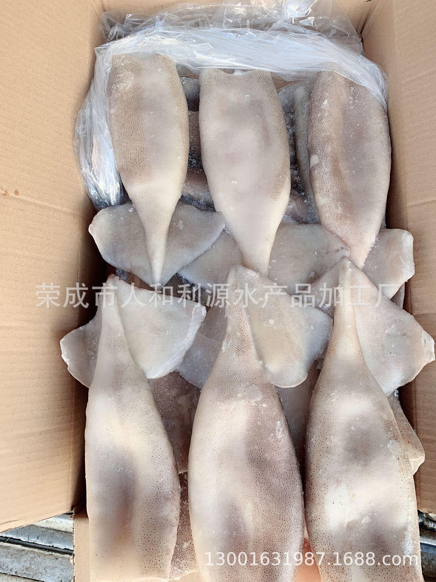 Hải sản đông lạnh, đông lạnh, trống mực ống và trống, trống mực chì, hàng hải sản đông lạnh.
