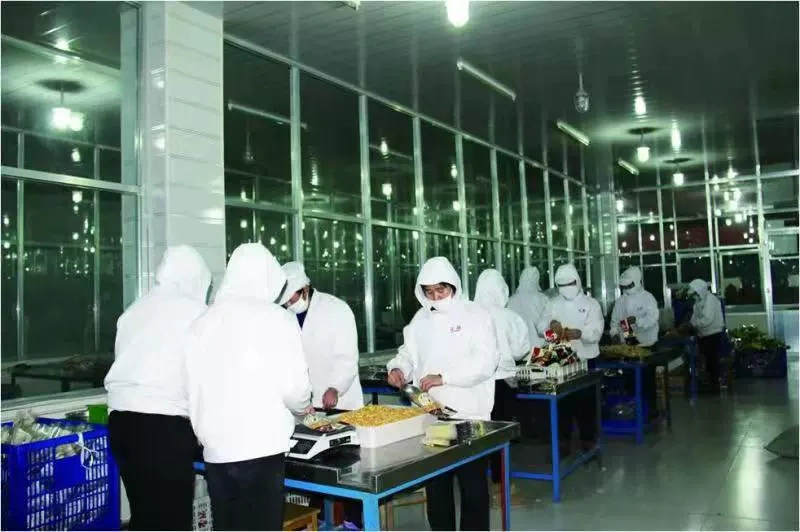 Công ty TNHH Thực phẩm Thiên Tiên