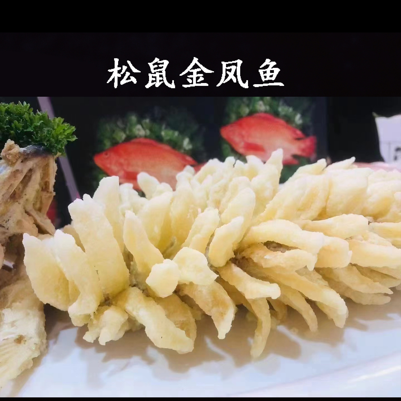 Có một con sóc cá, một con chim phượng hoàng vàng, một loại dưa chua tươi có tên truyền thống, và một loại thức ăn lạnh hàng loạt để giao hàng.