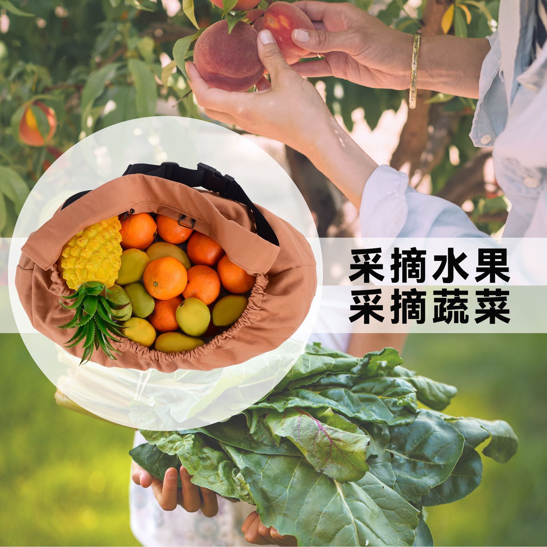 Cross-border supply of baglets for out-of-door feeding, large-volume fruit and vegetable pick-up, bush pick-up
