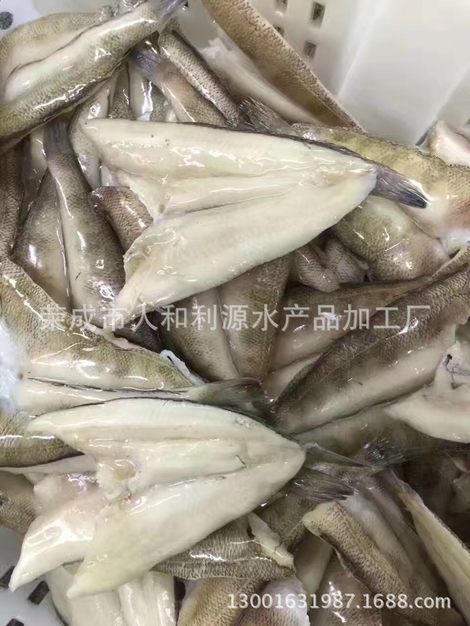 Antarctic icefish, wild icefish butterflies, fresh ice fish and fresh nutrient canteens.