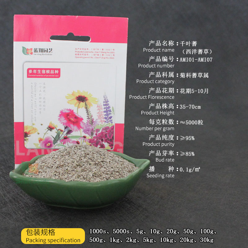 The greening of the garden seeds and the seeding of sawn flowers in the lumber seeds