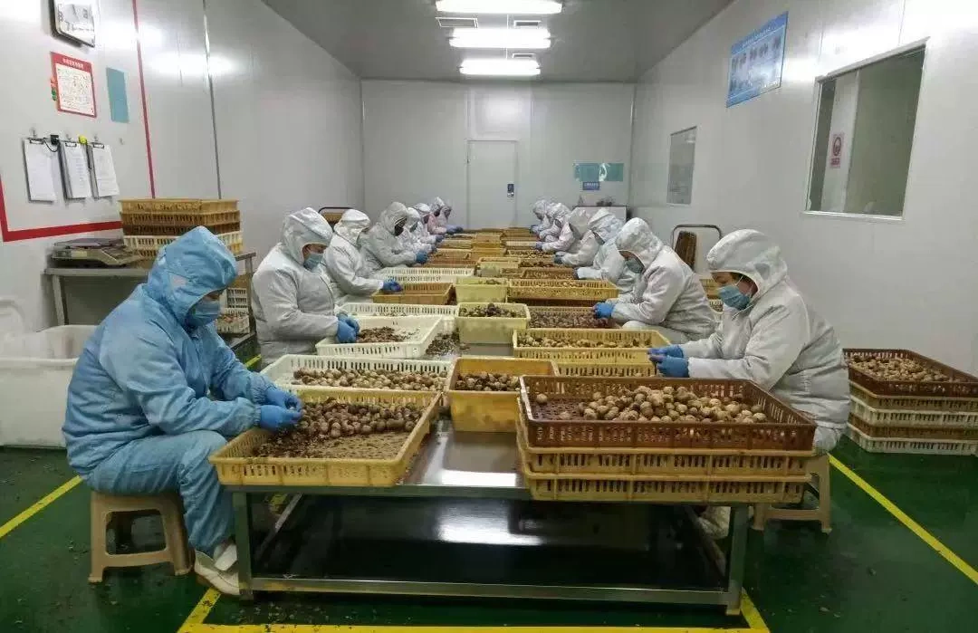Shandong Illugar Food Co. Ltd.