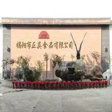 Chaiyang City Jung Young Food Co. Ltd.