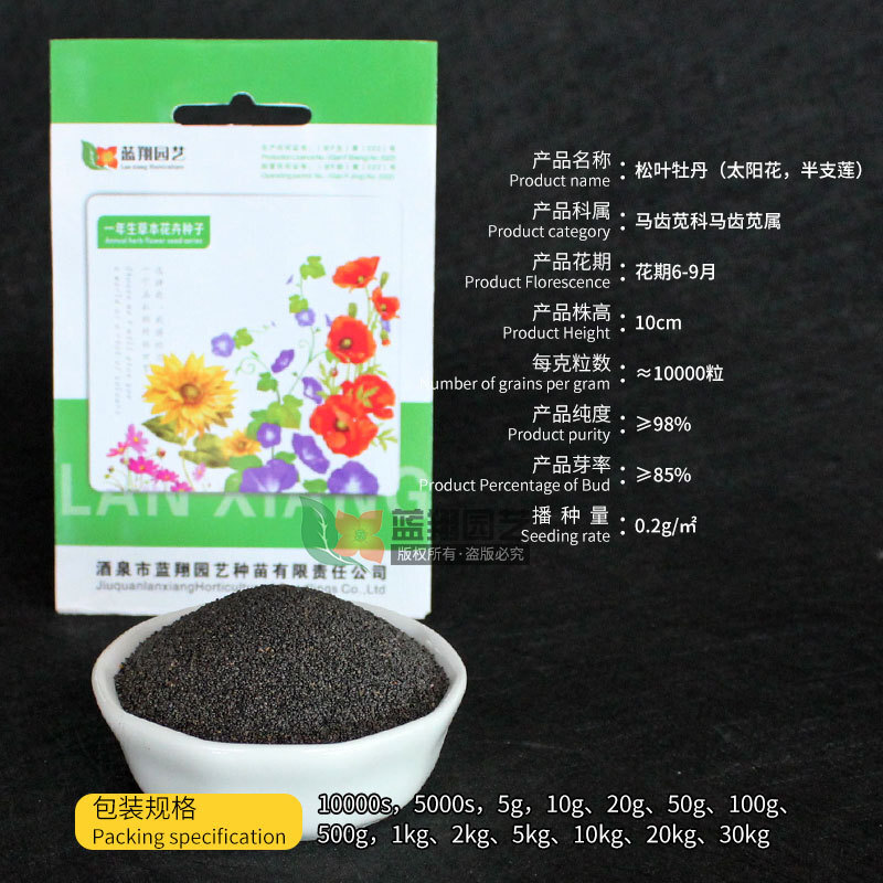 Hoa hướng dương gieo hạt thông, ban công gia đình nhìn khu vườn hạt giống của răng ngựa