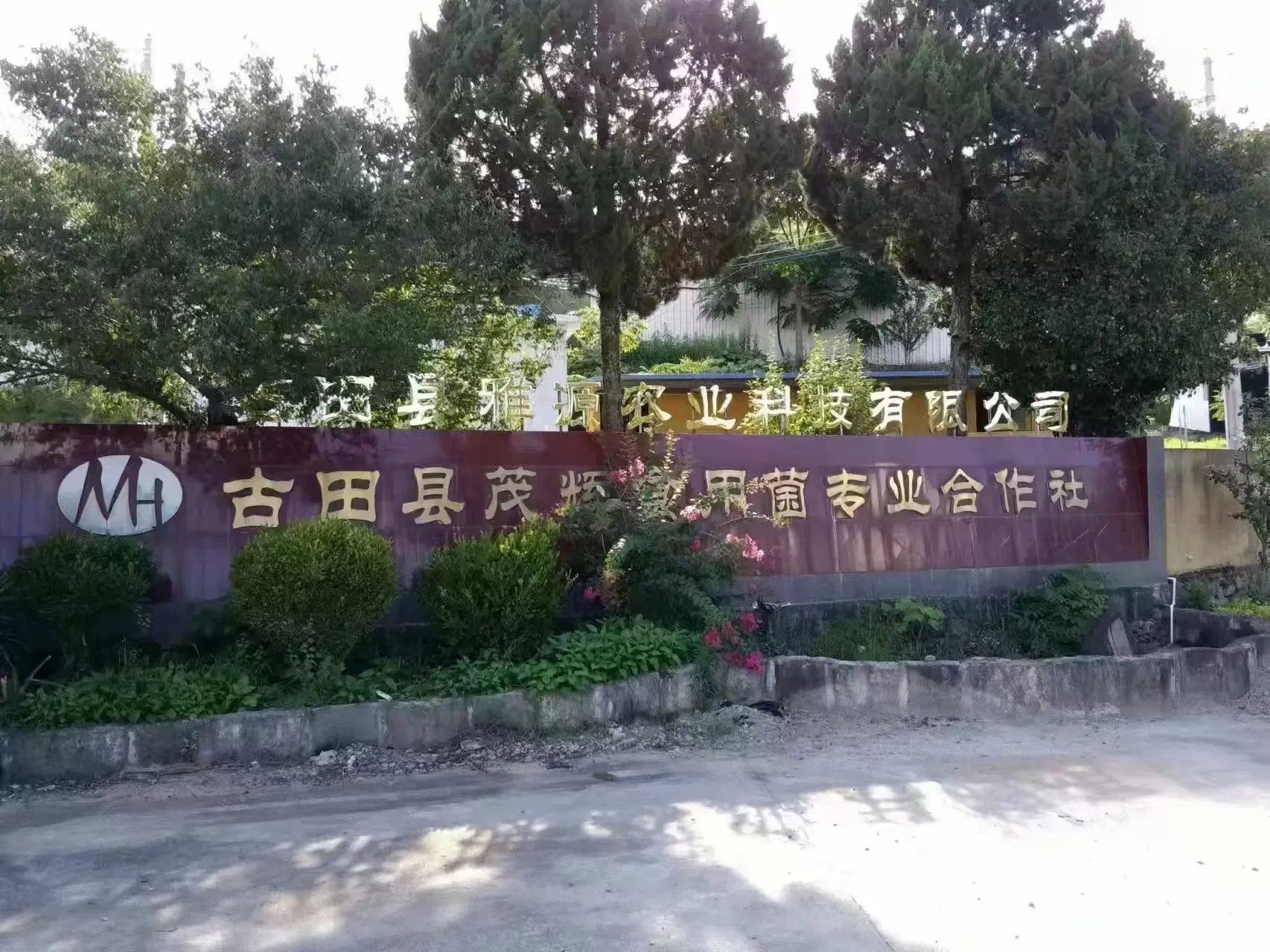 Công ty TNHH Thương mại Han Wansheng, Quận Okuda