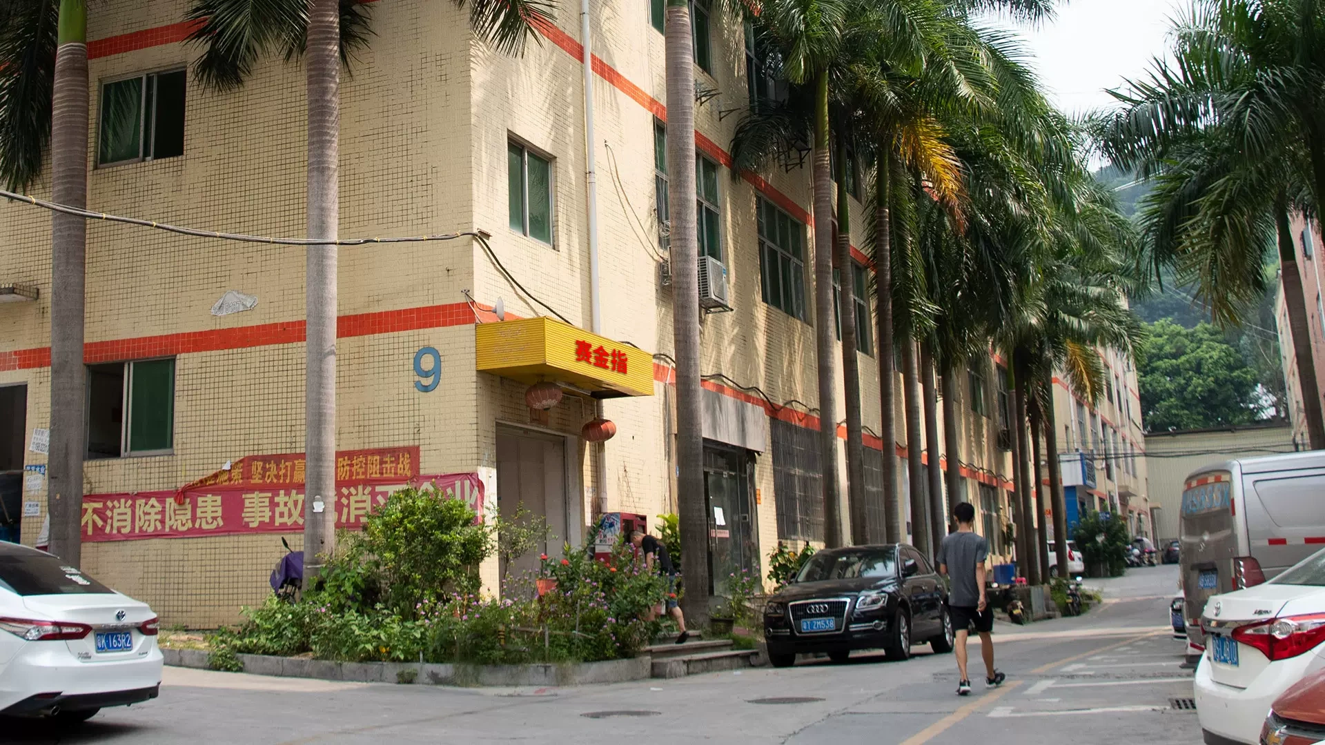 Saijin, Thành phố Shenzhen