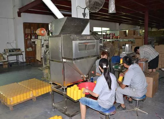 惠州市寸金饲料有限公司