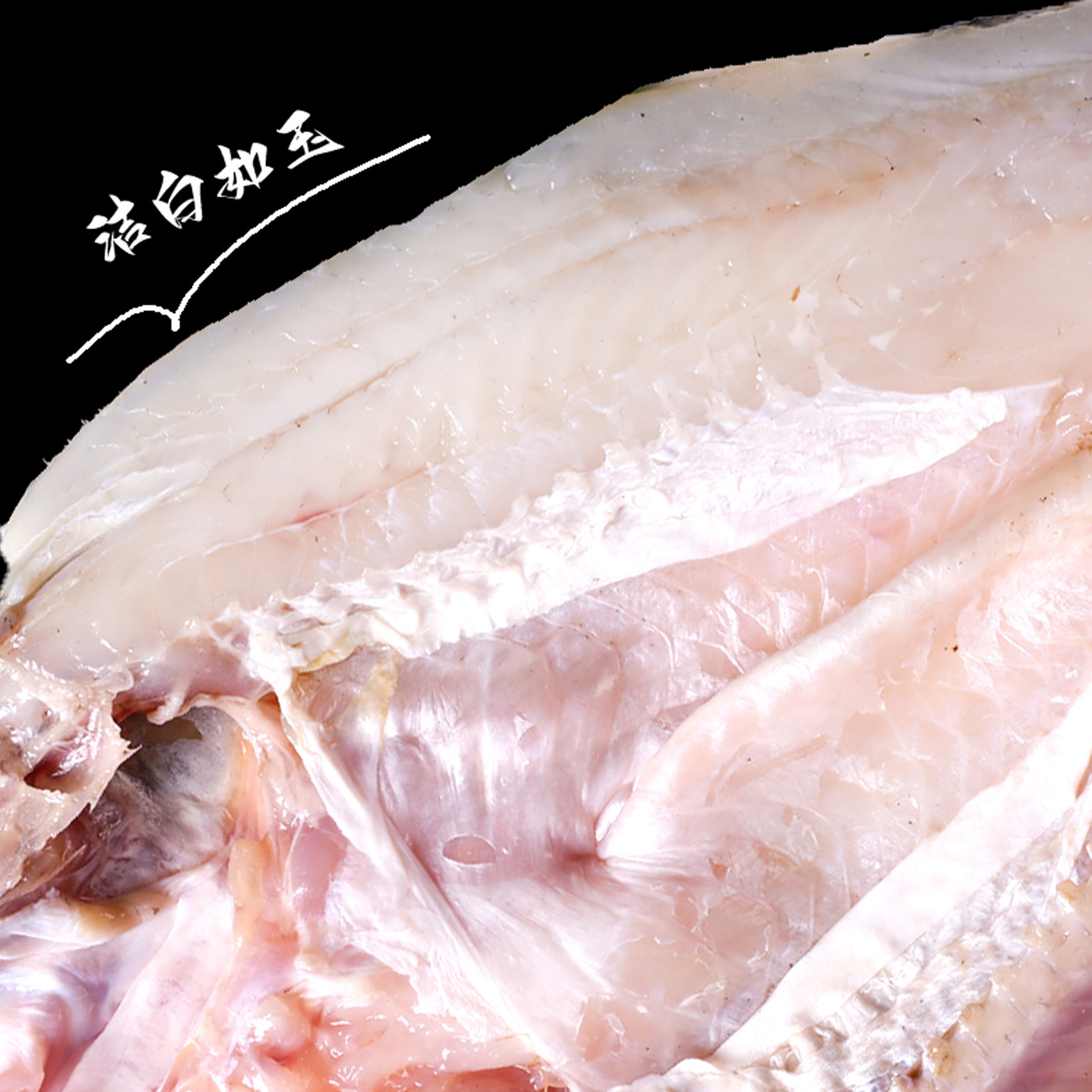 물고기는 바다베이스, 신선한, 냉동, 7 성급 피자, 상업 해산물을 켜는 흰색 guacamole로 이동합니다.