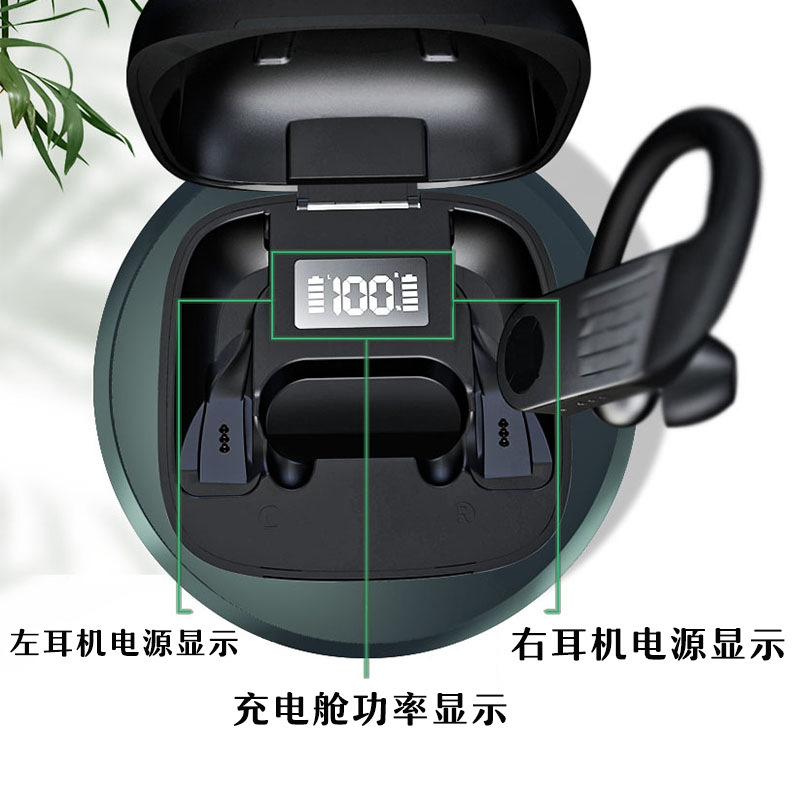 TWS ghi lại điện cho thấy có chuyển động.
