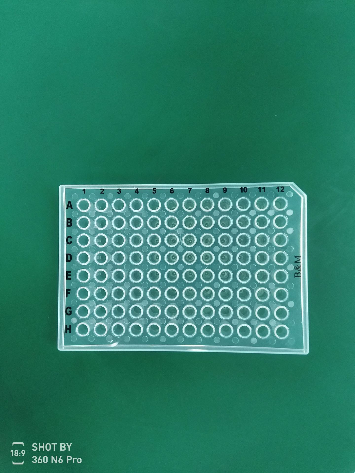 现货供应96孔PCR板 0.2ml透明半裙边PCR板厂家直销