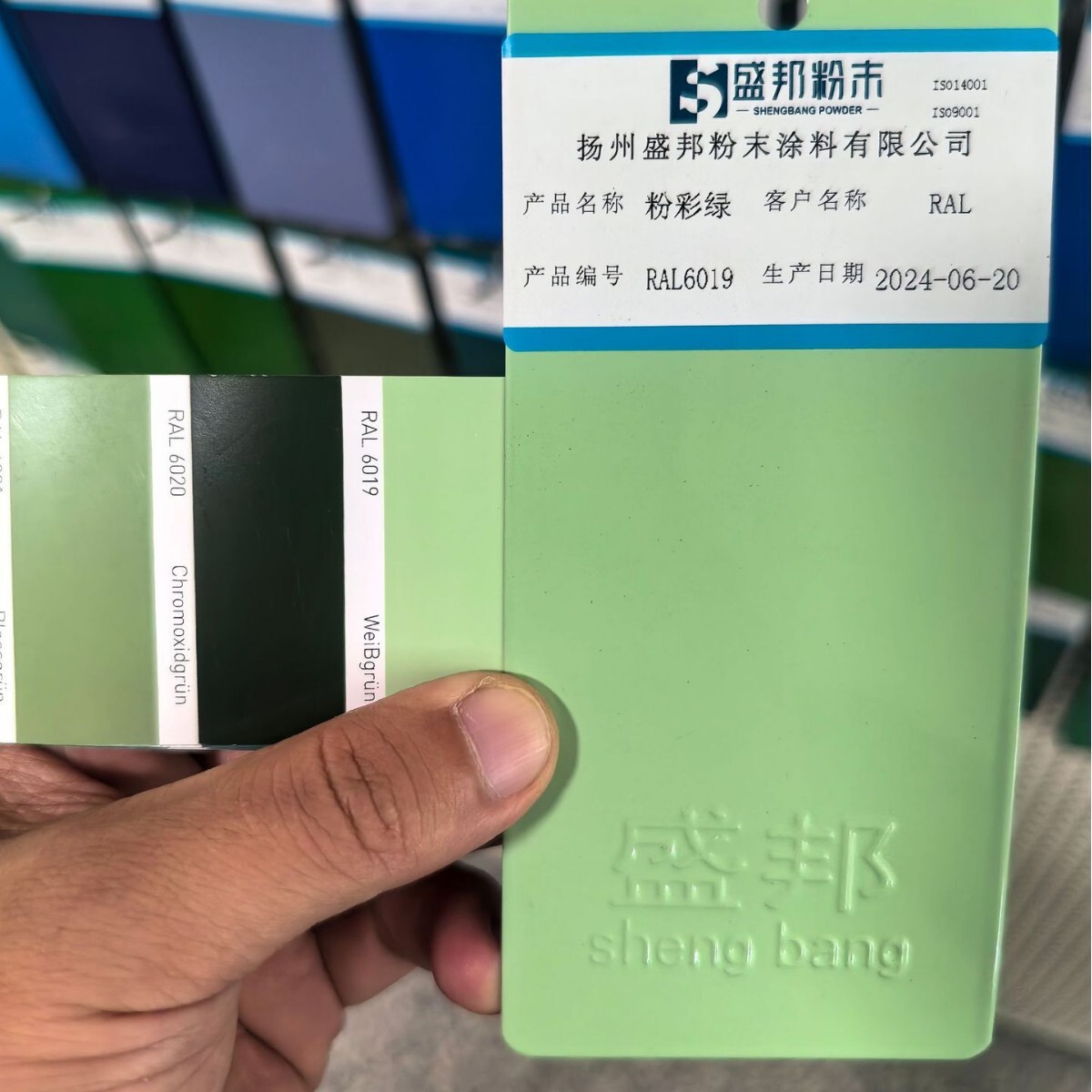 RAL green green sub-spectrum hot solid electrostatic powder coatings, plastic powder for the construction of body equipment for the escorts.