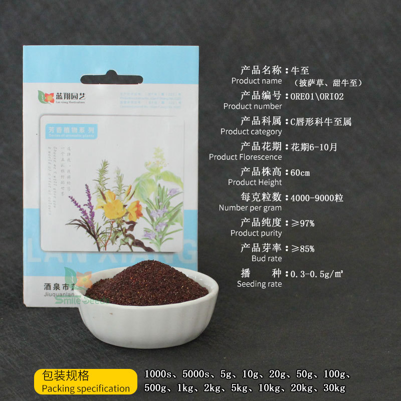 American Sweet Cow to Seed Project Green Landscape Garden, Greek cattle to seeds of fragrance pizza flower seeds