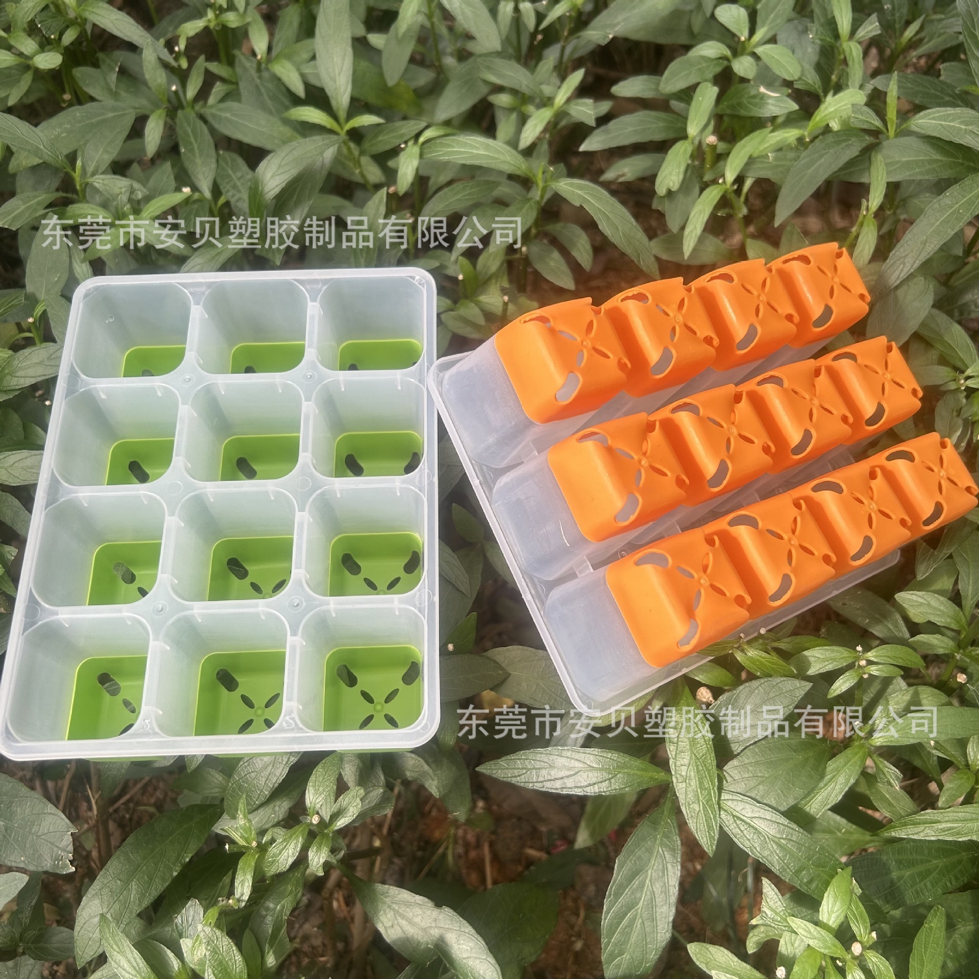 Bán trực tiếp từ 54x28x22cm hortict svate và kích thước thực vật lồng ấp của các nhà sản xuất.