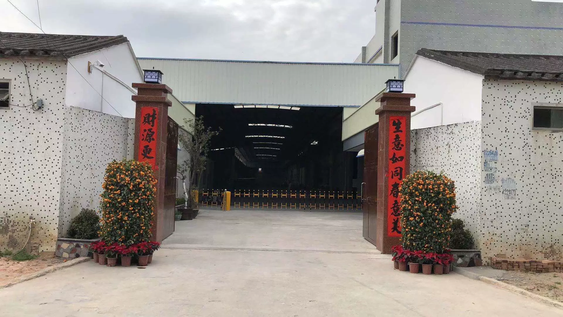 Wangos giày giới hạn ở thành phố Taiang