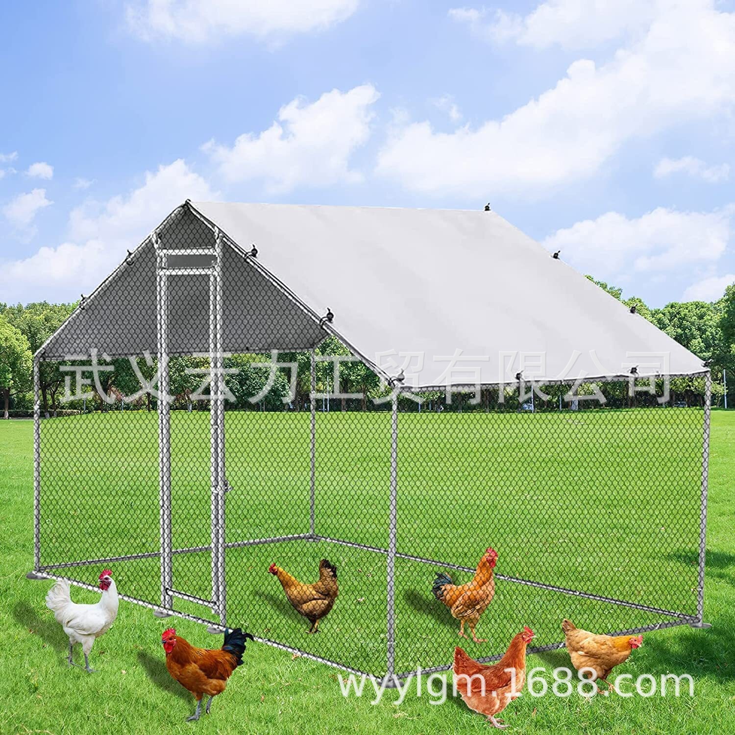 Gà trống bằng kim loại lớn chuồng vịt có khả năng chống tia cực tím