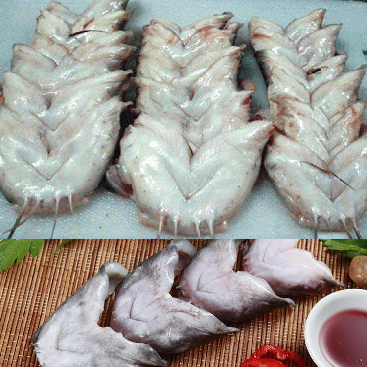 Môi Thánh vực sạch sẽ.