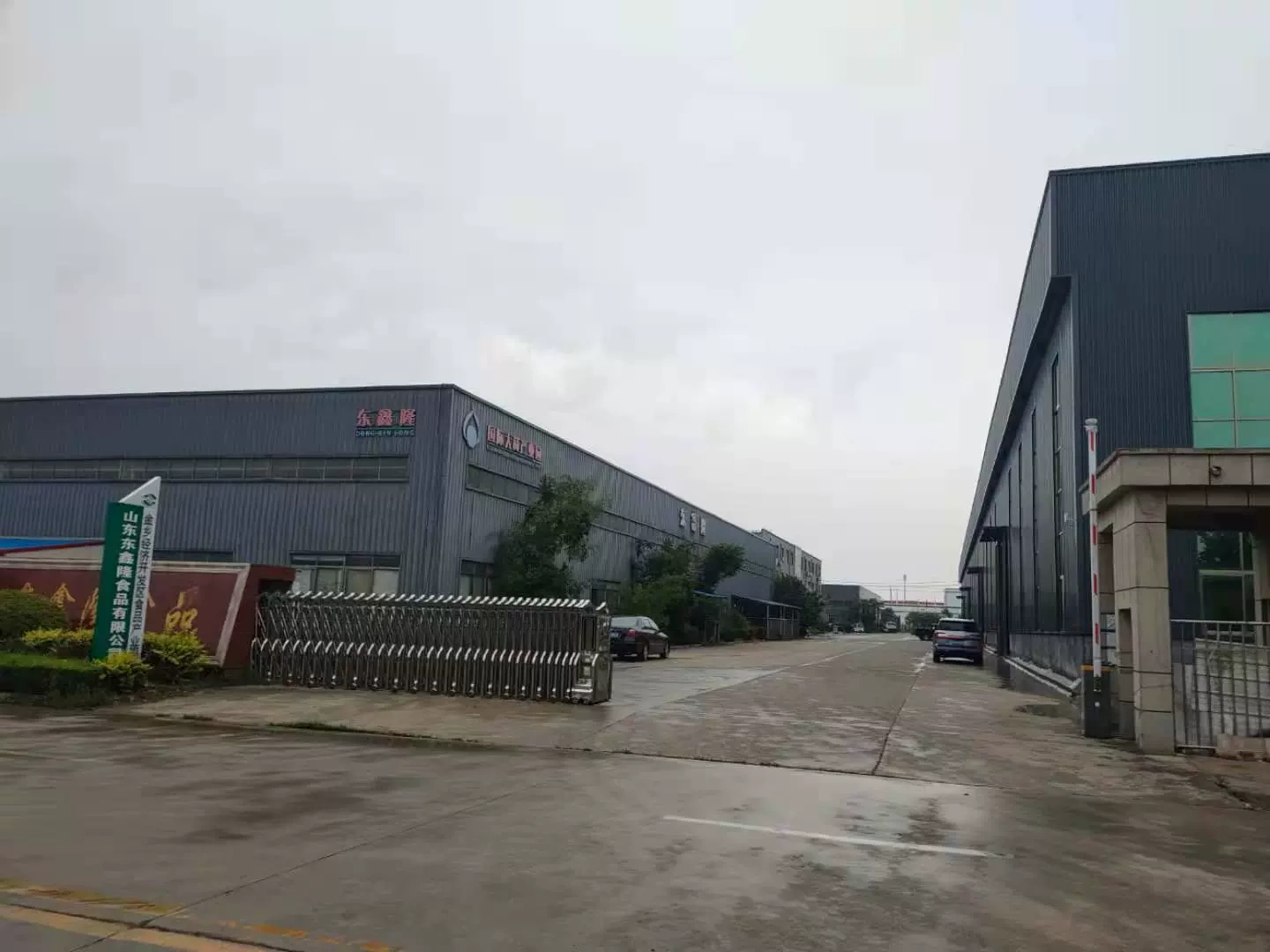 Công ty TNHH Thực phẩm cao cấp Sơn Đông