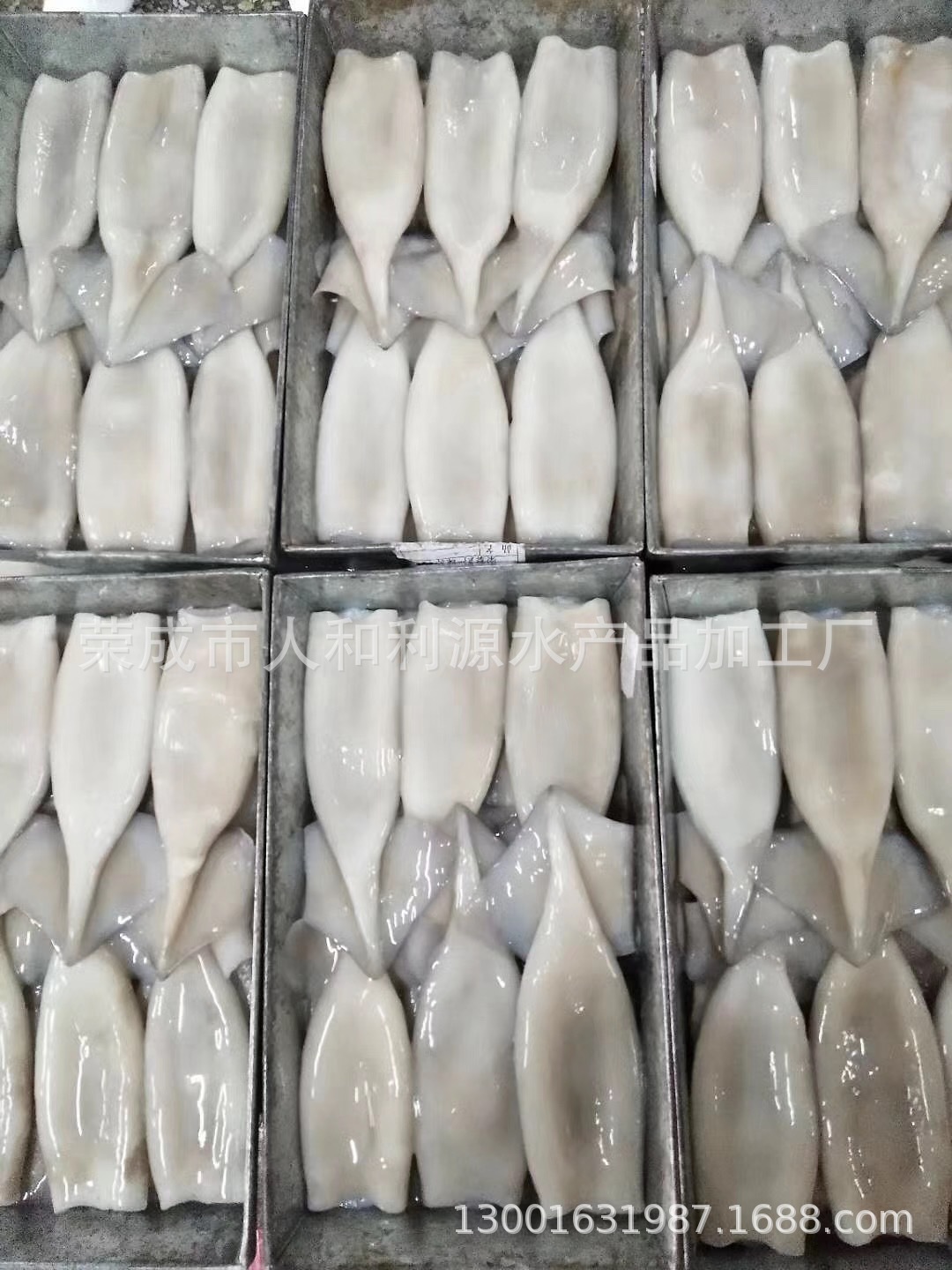 Hải sản đông lạnh, đông lạnh, trống mực ống và trống, trống mực chì, hàng hải sản đông lạnh.