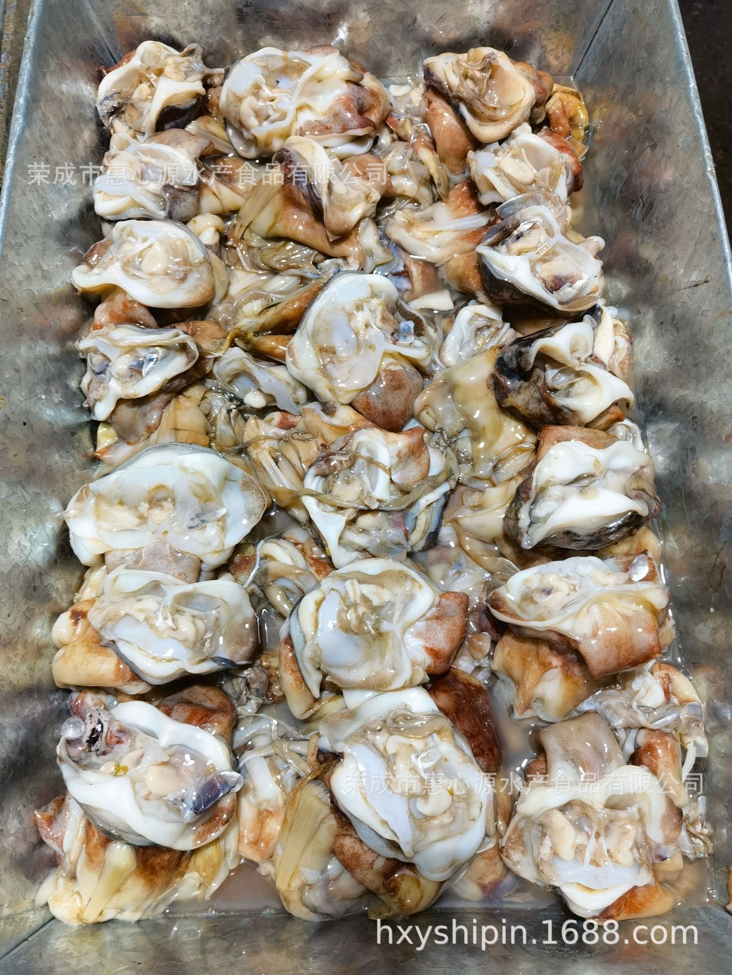 Cổ mực đóng băng, tươi và tươi.