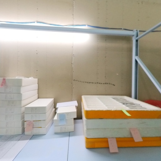 Tenyang City, Sam Sea Glass Co. Ltd.