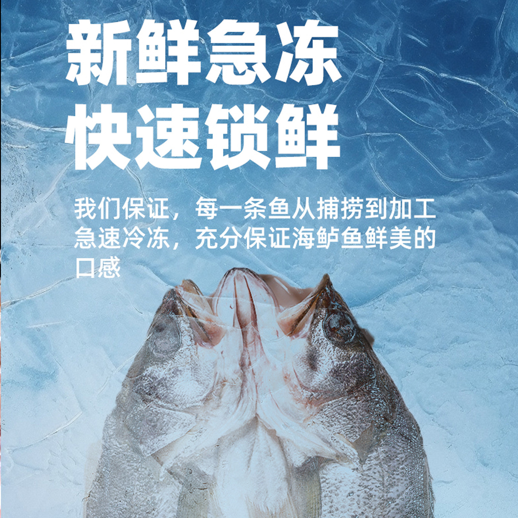 물고기는 바다베이스, 신선한, 냉동, 7 성급 피자, 상업 해산물을 켜는 흰색 guacamole로 이동합니다.