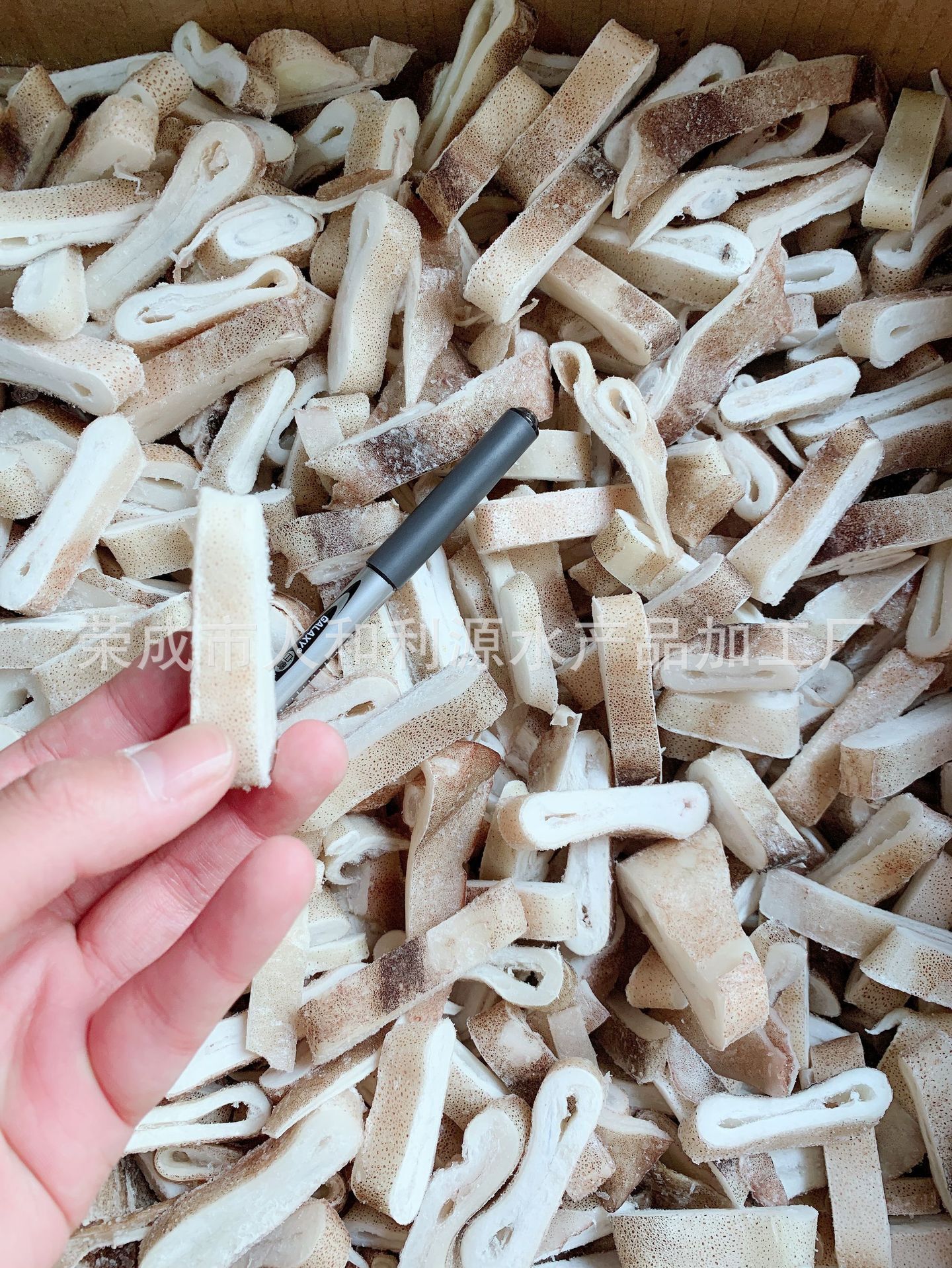 Vòng mực đóng băng, vòng mực đóng băng nhỏ, nồi chiên, nồi nóng, Argentina, vòng mực sống.