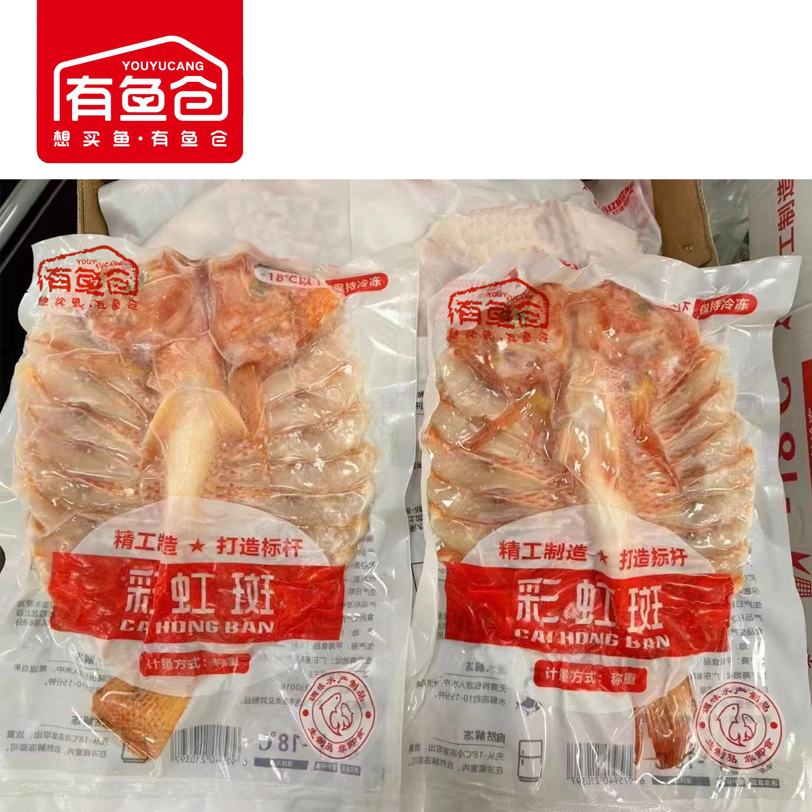 ♪ Quay trở lại cầu vồng, phượng hoàng, ngôi sao đỏ, ngọc trai, cá trích đỏ, vòng cầu vồng, màu đỏ