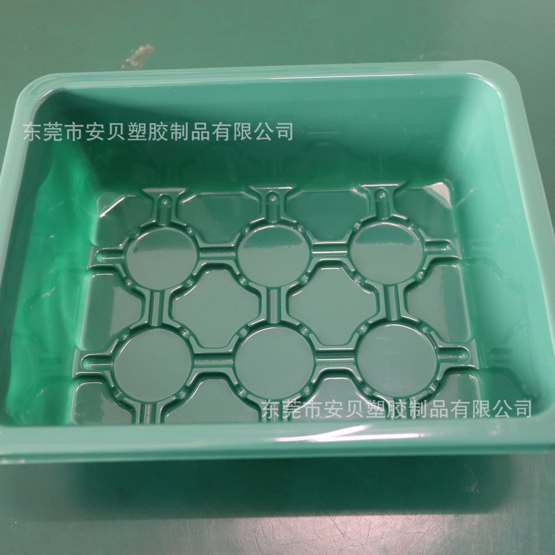 Những chiếc cốc trồng tia tán xạ trong suốt của những thùng có nhiều chất dinh dưỡng được tùy chỉnh