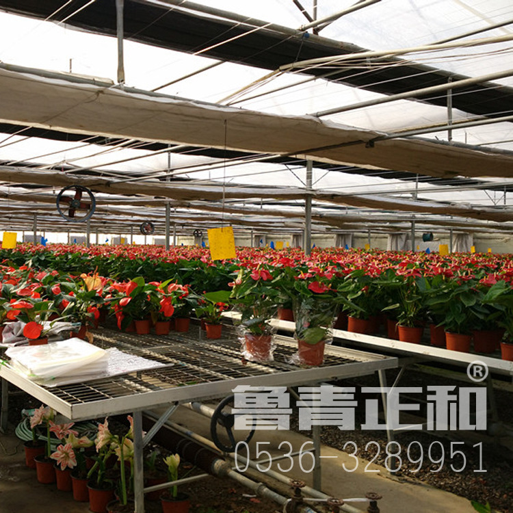 Zhenghe is a direct smoker for 304 stainless steel windmill greenhouses.