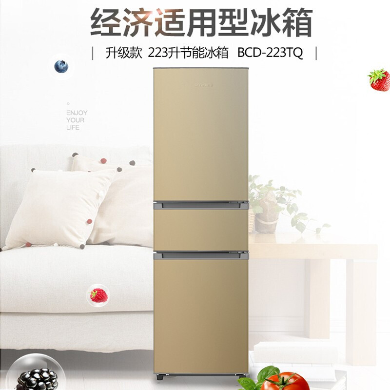 3 tủ lạnh đa mục đích, nhà cho thuê, tủ lạnh nhỏ có điện cực