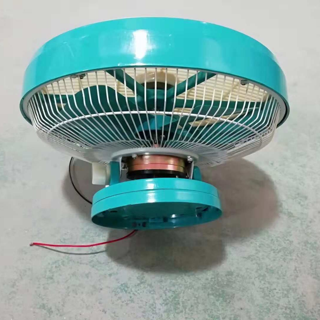 Tanya DS10H fan hâm mộ trần 10 inch 12V/24V với một fan hâm mộ