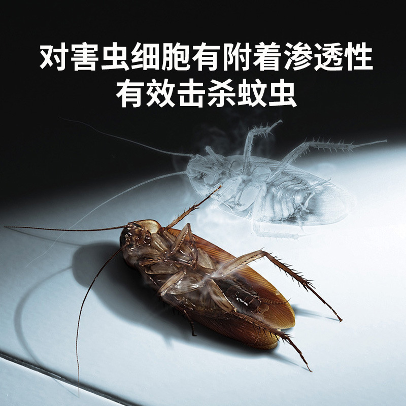 胺氯菊酯大面积户外室内下水道杀蚊子苍蝇蚊虫浓缩兑水喷雾杀虫剂