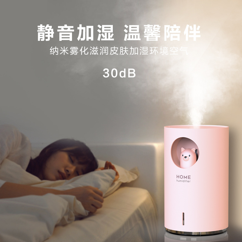 Sinh ra gấu Bắc cực nhỏ, với 7 màu ánh sáng, mẹ và trẻ em băng qua phòng ngủ.