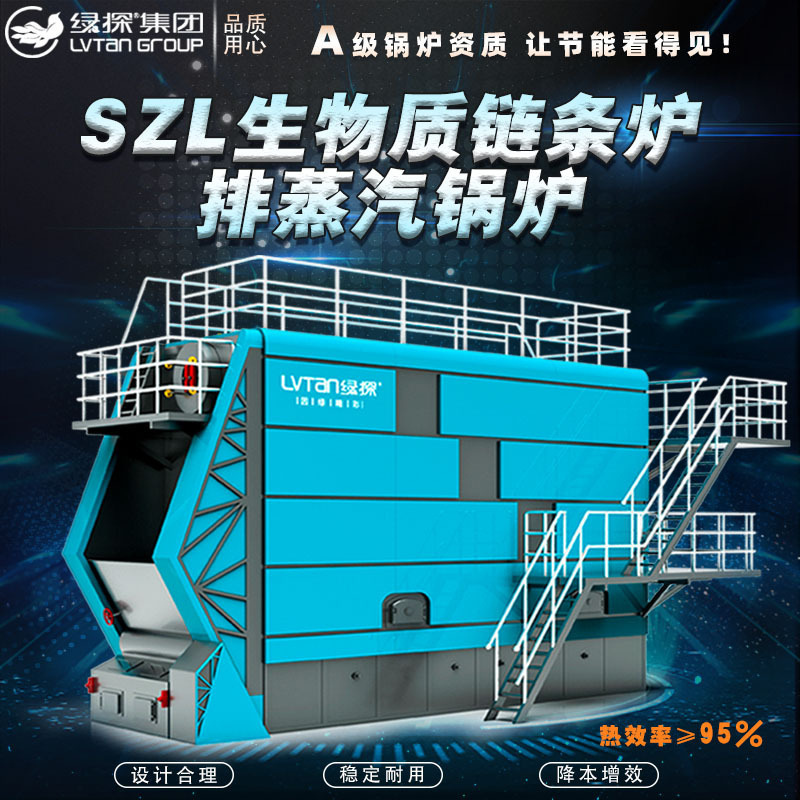Green detector LVTAN biomass chain steam boiler energy-saving 2 tons and 4 tons and 8 tons.