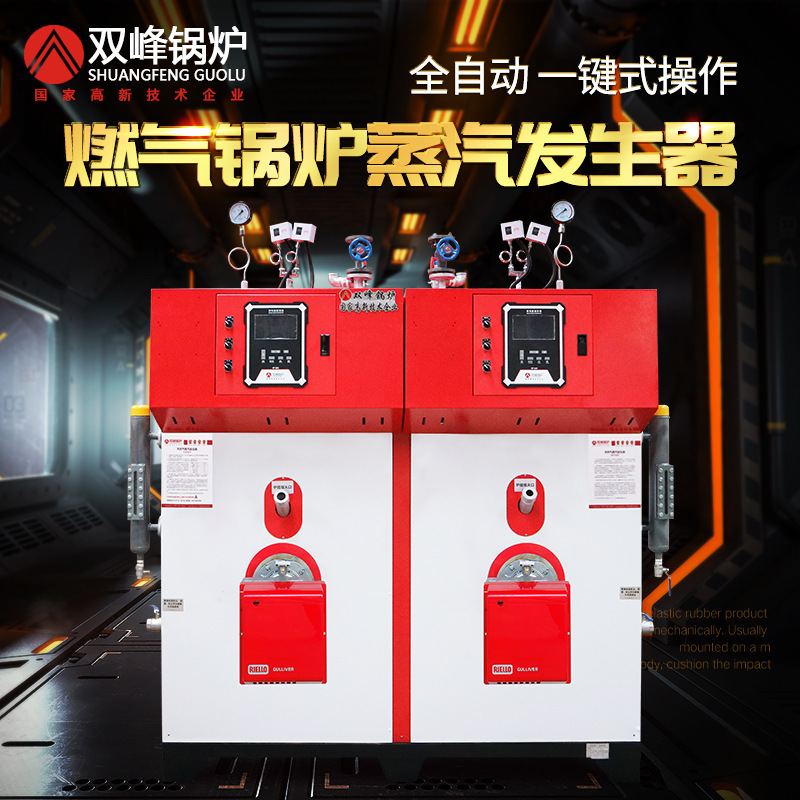 Double-peak gas boiler steam generator commercial large-scale gas industry hot-water steam boiler