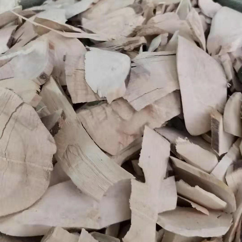 Thuốc của Trung Quốc thật cay đắng, đắng cay, để chúng có thể phấn hoa.