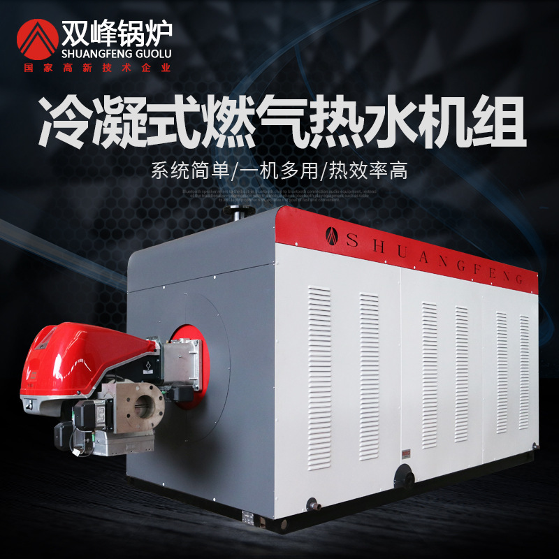 Double-peak condensed gas boilers commercial, fully automatic gas energy-saving multiple reverse-burning environmentally friendly hydrothermal fluidization