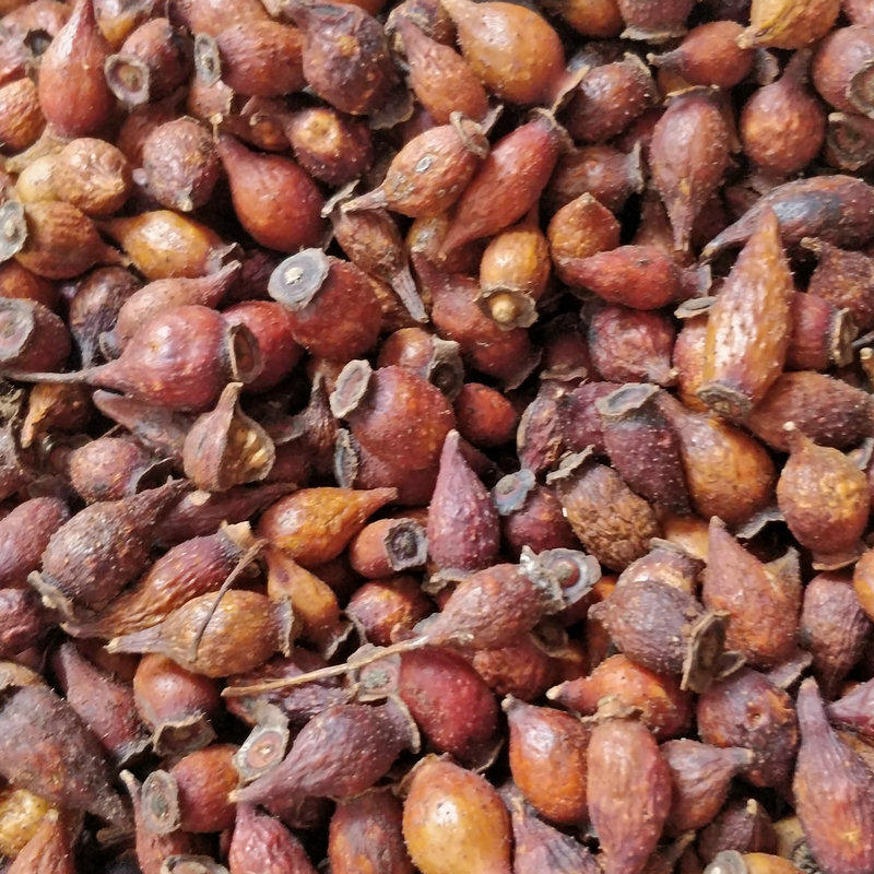 Chẳng có thuốc gì trong lưu huỳnh để phân phối quả anh đào tươi và thịt gà để ăn.