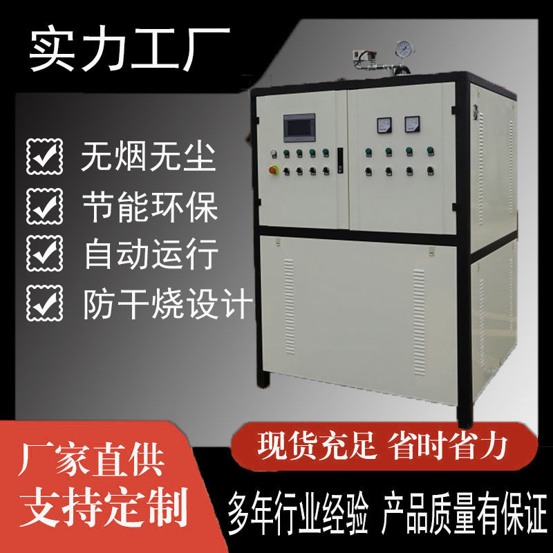 Electro-heated steam generator steam boiler heater boiler bathing in heating fully automated plant