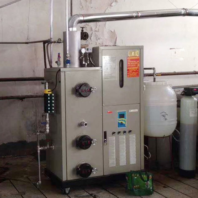 Mediterranean food brewery, fully automatic 100 KG biomass boiler plant