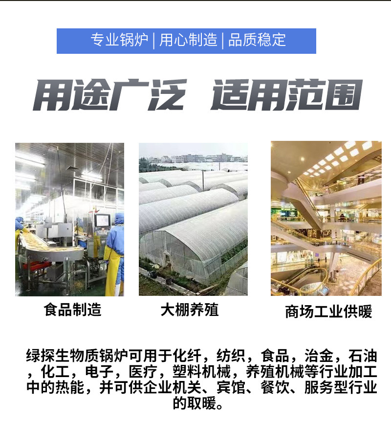 Green detector LVTAN biomass chain steam boiler energy-saving 2 tons and 4 tons and 8 tons.