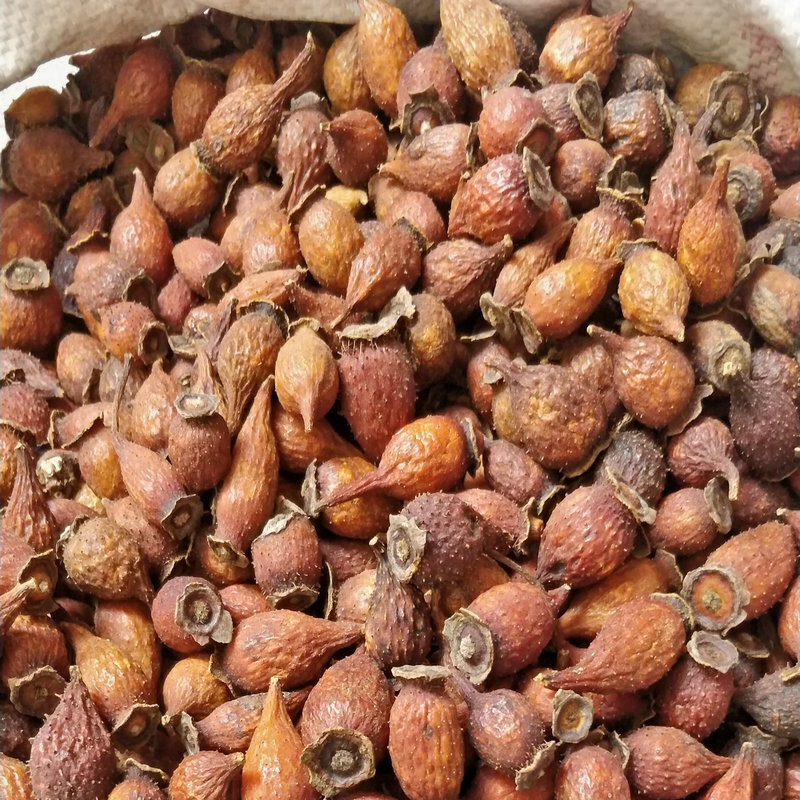 Chẳng có thuốc gì trong lưu huỳnh để phân phối quả anh đào tươi và thịt gà để ăn.