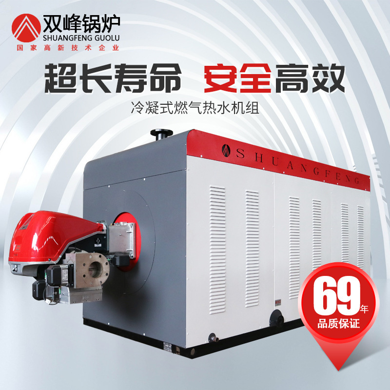 Double-peak condensed gas boilers commercial, fully automatic gas energy-saving multiple reverse-burning environmentally friendly hydrothermal fluidization