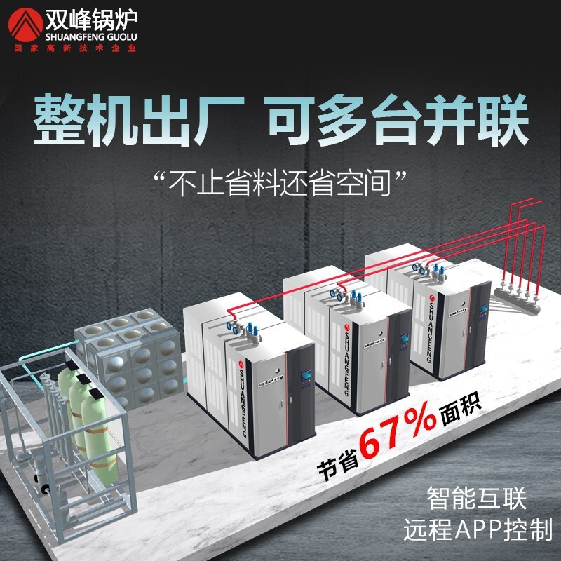 Double Peaks full of 1 ton of gas vapour generator ultra-low nitrogen liquefied gas boilers 2 tons of natural gas commercial industry