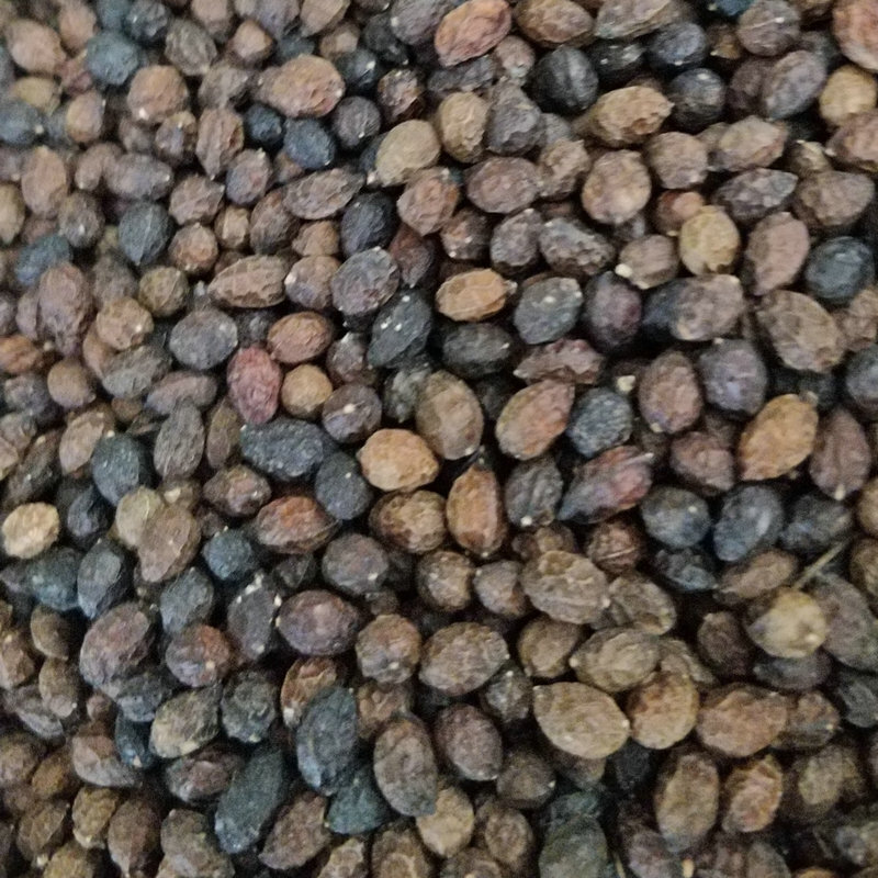 Các lưu huỳnh không có lưu huỳnh phun, các con vịt cũ, mới, nhà máy thuốc.