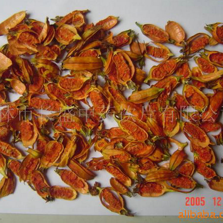 cành đỏ.
