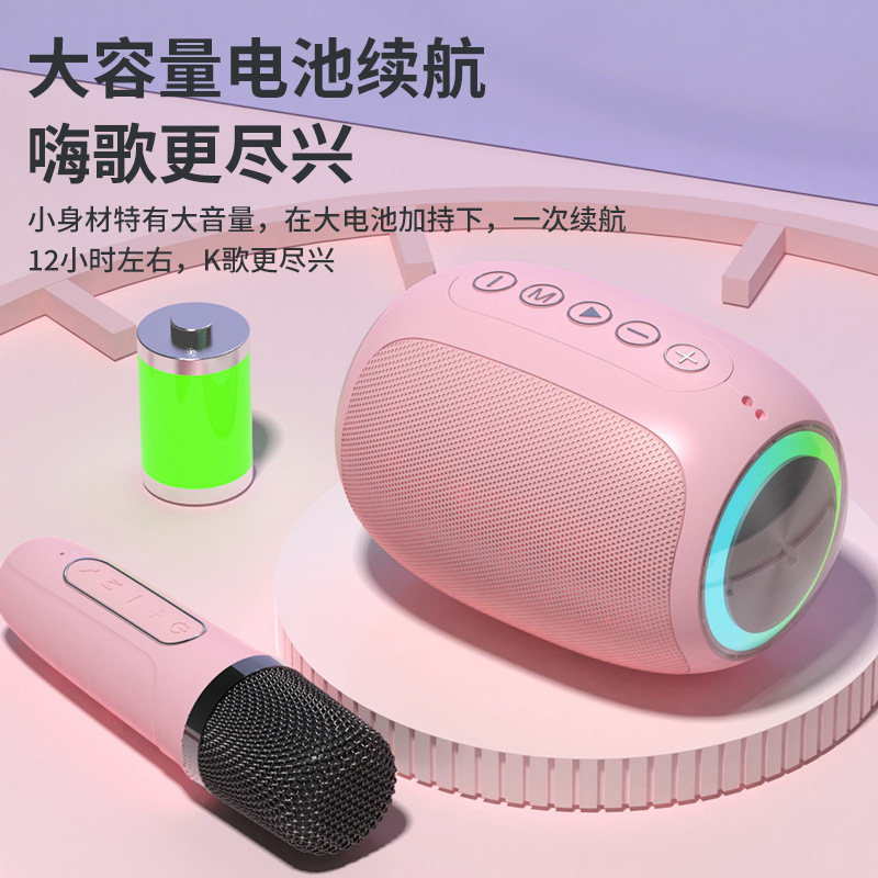 Một ngôi nhà mới Wireless bằng tiếng bass k-sang và micro với một hộp thoại ngoài trời.